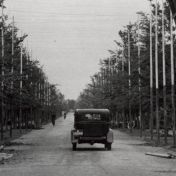 Kenteken: A 28088; uitsnede foto 2138-3023.jpg