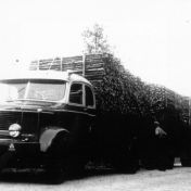 Kenteken: A 37603; Krupp Buffel,  foto: J. Smits