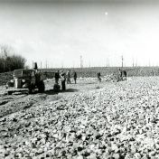 Kenteken: A 10529; Wegaanleg Selwerderhof ca. 1949 foto: archief Dienst Openbare Werken (1485)