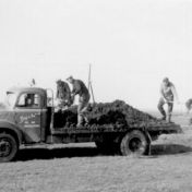 Kenteken: A 39409; Dodge, foto: collectie <a href='http://www.transportnostalgie.punt.nl/' target='_blank'>transportnostalgie.punt.nl</a>