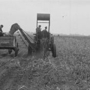 Kenteken: A 23239; Fordson, zg. Blauwe Reiger, 1952, foto: Still uit GAVA-film AV0810