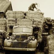Kenteken: A 19523; Met stro beladen Dodge vrachtwagen, foto uit boek <a href='https://www.walenberghvanos.nl/kerels-van-karton?lightbox=dataItem-itlbpzgo1' target='_blank'>Kerels van Karton</a>