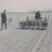 Kenteken: A 5996; Ford Dearborn tractor, foto: still uit de film "Boerderij, ploegen e.d. onbekend", 1950-1954, coll. GrA (2209-1075)