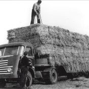 Kenteken: A 35531; DAF, foto: R. Heersema