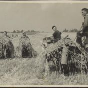 Kenteken: A 44415; Klazienaveen-Noord, drie mannen poseren met graanschoof naast de Allis Chalmers tractor met zichtmachine en zelfbinder waarop twee mannen zitten, tweede van links Hendrik Koops, ca. 1951 (2437-6699)