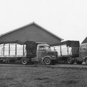 Kenteken: A 35120; Delfzijl, twee MAN trucks met oplegger van de houthandel fa. Roggenkamp 1-1-1955. (818-1851)