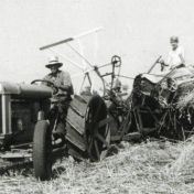 Kenteken: A 27829; Farmall,  Landbouwer Smit aan het werk met de zelfbinder, 1952, foto: R. J. Smit