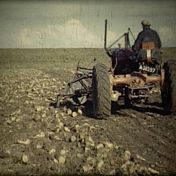 Kenteken: A 38397; Allis Chalmers, foto: Still uit GAVA-film AV0076