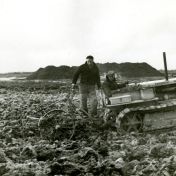 Kenteken: A 30199; Caterpillar, Grondwerken Selwerderhof 1948, foto: archief Dienst Openbare Werken (1485)