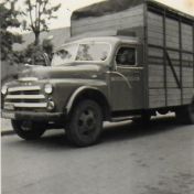 Kenteken: A 46305; Dodge veewagen ca. 1950, foto: E. Beertema
