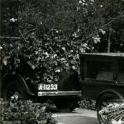 Kenteken: A 11233; foto: uitsnede 1348-299.jpg