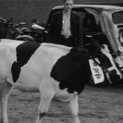 Kenteken: A 39073; Vauxhall, Vlagtwedde, 1952, foto: Still uit GAVA-film AV20037