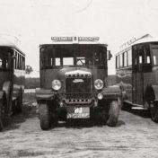 Kenteken: A 17268; Drie Minervabussen te Finsterwolde, foto uit "De geschiedenis van NV. Stootramwegmij. Oldambt-Pekela (1759-4035)