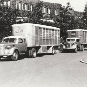 Kenteken: A 8738; Volvo's met DAF/Heiwo veetrailers, Petrus Camersingel 1945, foto: collectie W. Eekhof