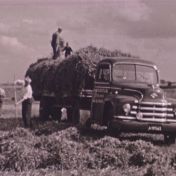 Kenteken: A 19565; Diamond, foto: Still uit GAVA-film AV7018