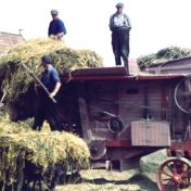 Kenteken: A 37475; Dorsmachine bij Heringa, Harkstede, foto: still uit de film "Uit de oude haverkist", deel I, J.K. Wiersema, 1950-1960, coll. GrA (2209-AV0723)