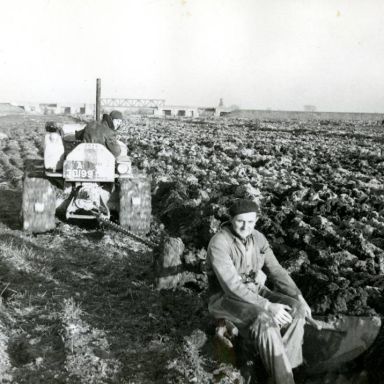 Kenteken: A 30199; Caterpillar, Grondwerken Selwerderhof 1948, foto: archief Dienst Openbare Werken (1485)