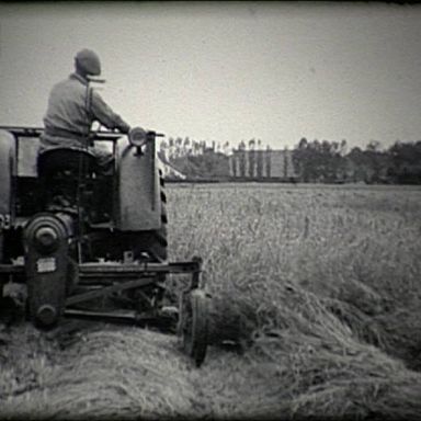 Kenteken: A 40693; foto: Still uit GAVA-film AV7642, 1953