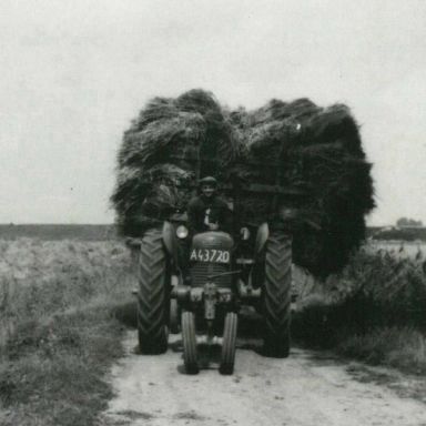 Kenteken: A 43720; Graanoogstwerkzaamheden op het bedrijf OLI2, ca. 1950. foto-uitsnede uit "De historie van boerderijen en molens in de gemeente Appingedam" (1957-22613)