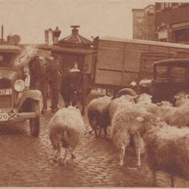 Kenteken: A 21181; Ford, Veemarkt Groningen, foto: "Het Noorden in Woord en Beeld" 02-03-1934