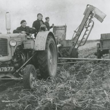 Kenteken: A 37877; Aardappelrooien,  J. v. d. Veen op de Minneapolis Moline, foto: collectie Veenkoloniaal Museum (VM-2-1-01-02-73)