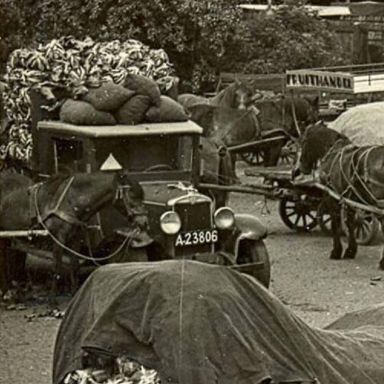 Kenteken: A 23806; Chevrolet, Coöperatieve groenteveiling Hoogezand-Sappemeer ca. 1948, uitsnede foto: Gemeentearchief Hoogezand-Sappemeer (5263)