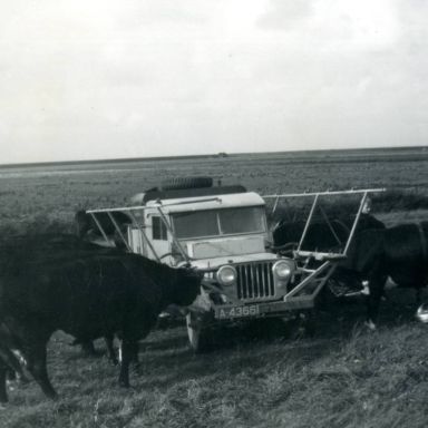 Kenteken: A 43661; "Melkjeep", foto uit archief Groninger Maatschappij van Landbouw (743-2799)