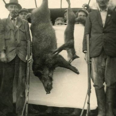 Kenteken: A 7816; foto uit een album van de familie van Lenning uit Vlagtwedde, ingezonden door H. Selling