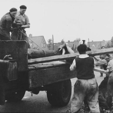 Kenteken: A 48726; De dumptruck van Nipperus wordt geladen met een afgezaagde boom, foto: H. E. Boonstra