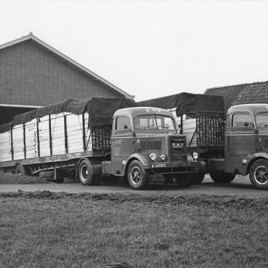 Kenteken: A 35120; Delfzijl, twee MAN trucks met oplegger van de houthandel fa. Roggenkamp 1-1-1955. (818-1850)