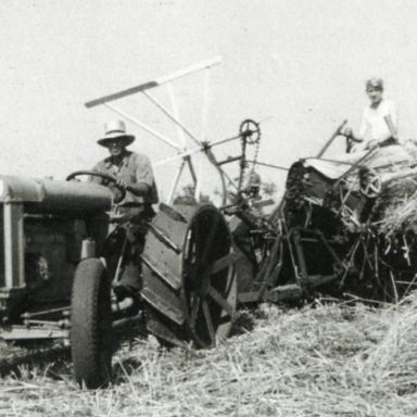 Kenteken: A 27829; Farmall,  Landbouwer Smit aan het werk met de zelfbinder, 1952, foto: R. J. Smit