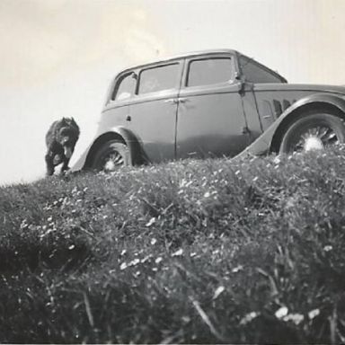 Kenteken: A 22130; Willys 77, foto: J. C. Bezemer