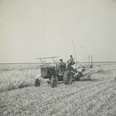 Kenteken: A 31030; Allis Chalmers,   foto: collectie Veenkoloniaal Museum (vm 2.1/03.02/39)