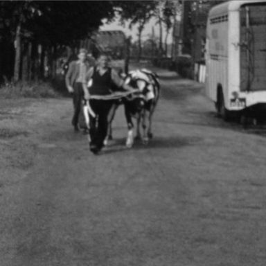 Kenteken: A 21259; Veendam, 1950, foto: Still uit GAVA-film AV20037