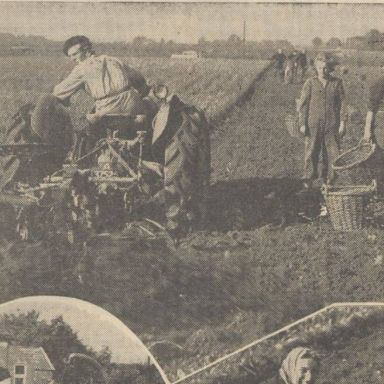 Kenteken: A 37525; Ford Dearborn, Nieuwsblad van het Noorden, 10-10-1950