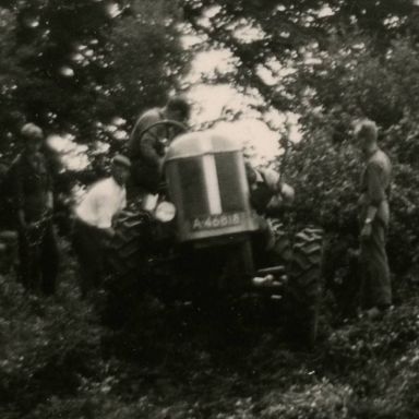 Kenteken: A 46818; Afvoeren bomen Appelbergen1953, uitsnede 2139-9-5.jpg