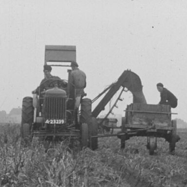 Kenteken: A 23239; Fordson, zg. Blauwe Reiger, 1952, foto: Still uit GAVA-film AV0810