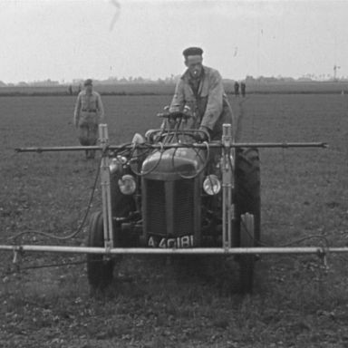 Kenteken: A 40181; Ferguson, 1952, foto: Still uit GAVA-film AV0810
