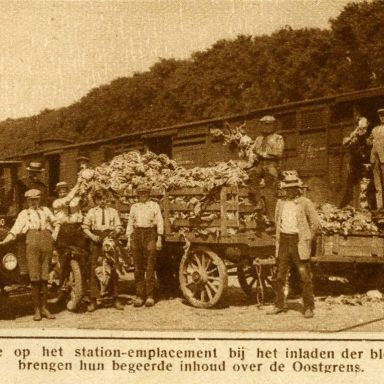 Kenteken: A 9590; Ford,  Het Noorden in Woord en Beeld, 15-07-1927