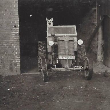 Kenteken: A 42173; Zetor, Boerderij van J.J.Bos, Schapeweg 4, Uithuizermeeden, voorjaar 1956, foto: A. D. den Hartogh