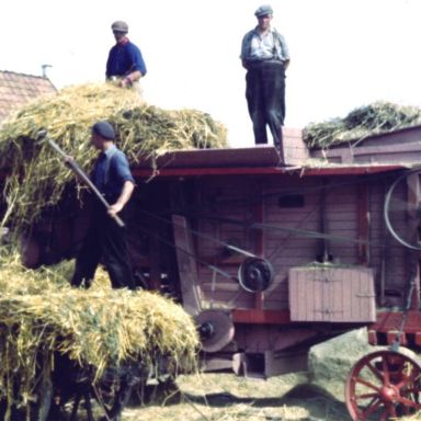 Kenteken: A 37475; Dorsmachine bij Heringa, Harkstede, foto: still uit de film "Uit de oude haverkist", deel I, J.K. Wiersema, 1950-1960, coll. GrA (2209-AV0723)